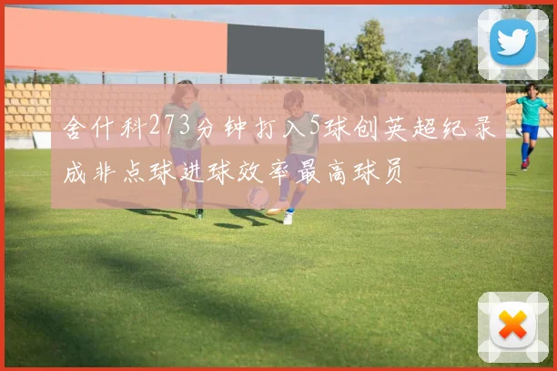 舍什科273分钟打入5球创英超纪录成非点球进球效率最高球员