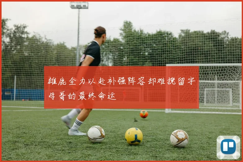 雄鹿全力以赴补强阵容却难挽留字母哥的最终命运
