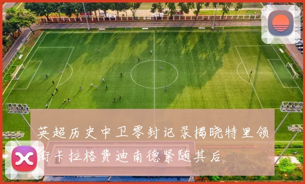 英超历史中卫零封记录揭晓特里领衔卡拉格费迪南德紧随其后