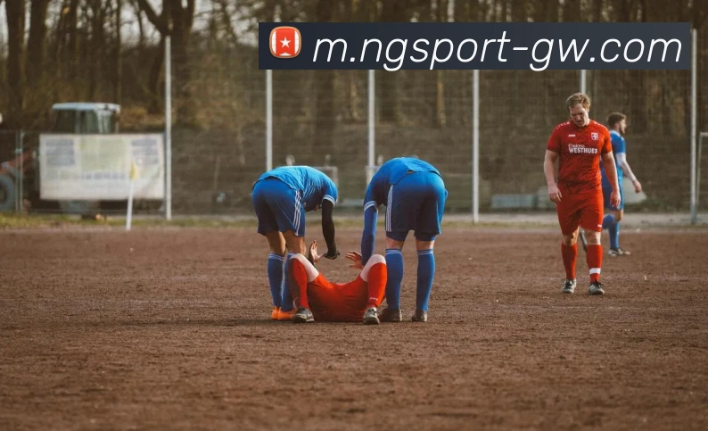 南宫体育平台生态图