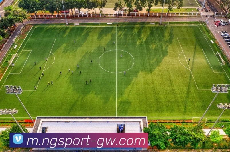 数据防护可视化